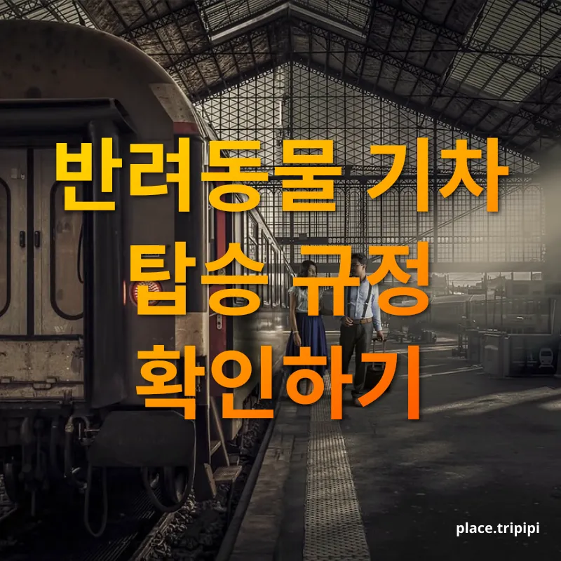 반려동물 기차여행 - 국내 기차 여행 시 반려동물 동반 가능 여부 반려동물 기차여행 국내 기차 여행 시 반려동물 동반 가능 여부 관련 이미지