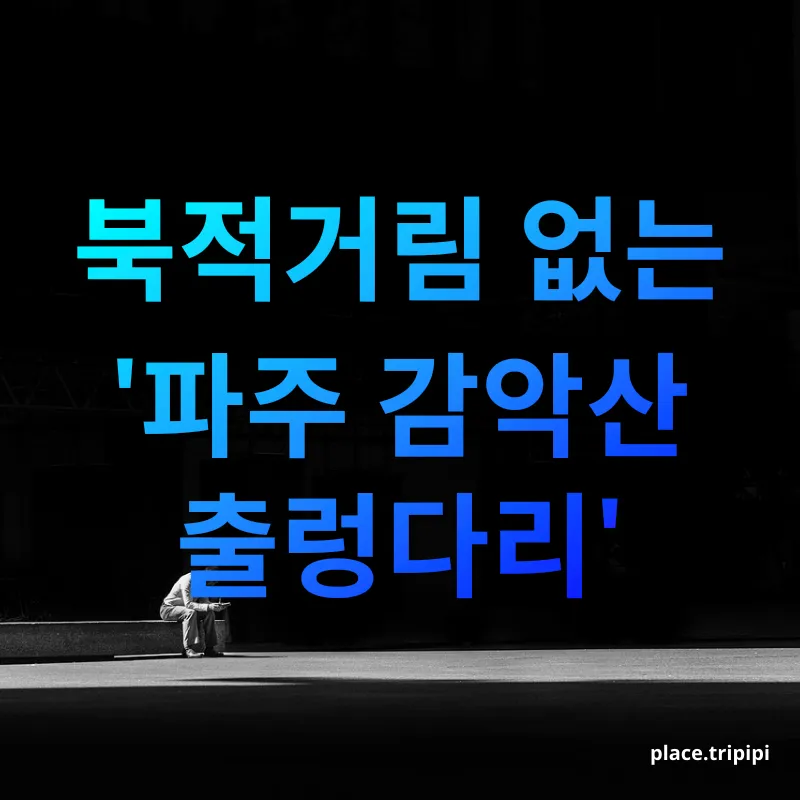 혼자만의 힐링 드라이브 - 고요한 자연의 품에 안기다 혼자만의 힐링 드라이브 고요한 자연의 품에 안기다 관련 이미지