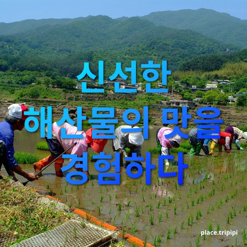 전라도 음식 - 해산물의 보고, 강진 전라도 음식 해산물의 보고, 강진 관련 이미지
