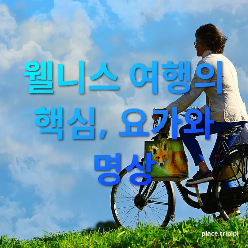 웰니스 여행 - 몸과 마음의 균형을 회복하는 힐링 공간 웰니스 여행 몸과 마음의 균형을 회복하는 힐링 공간 관련 이미지