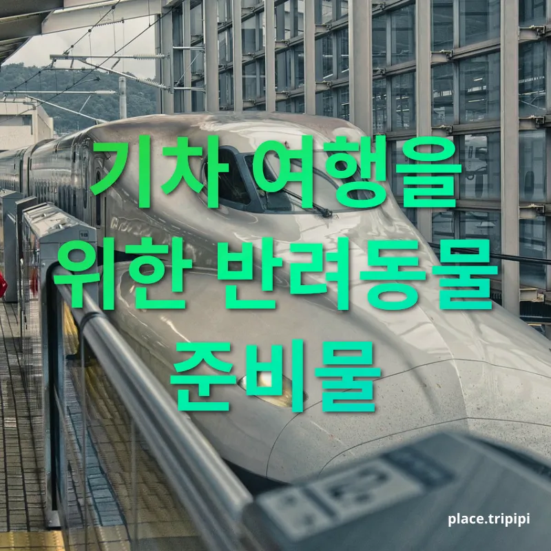 반려동물 기차여행 - 기차 여행을 위한 반려동물 준비물 반려동물 기차여행 기차 여행을 위한 반려동물 준비물 관련 이미지