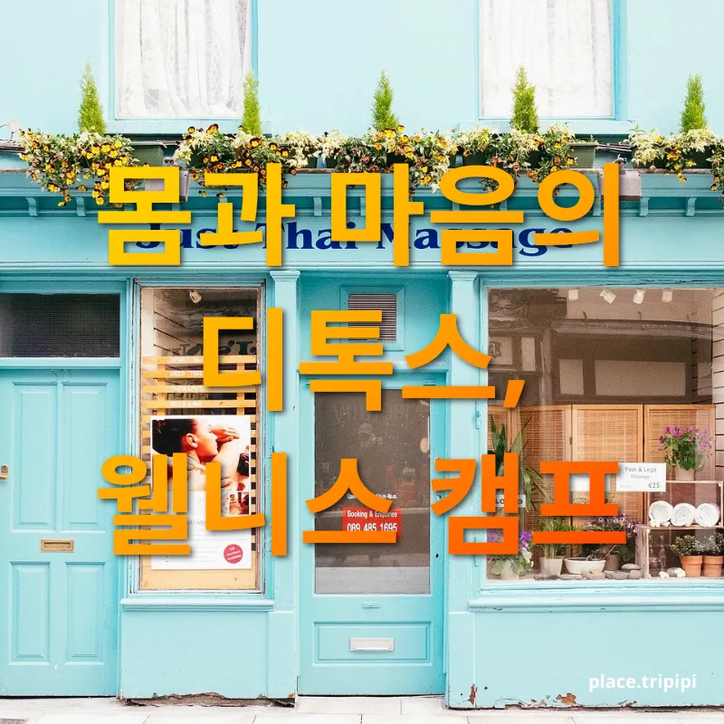 웰니스 여행 - 몸과 마음의 디톡스, 웰니스 캠프 웰니스 여행 몸과 마음의 디톡스, 웰니스 캠프 관련 이미지