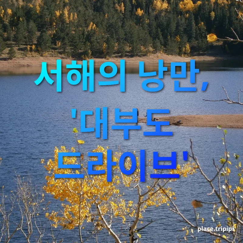 혼자만의 힐링 드라이브 - 서해의 낭만, '대부도 드라이브' 혼자만의 힐링 드라이브 서해의 낭만, '대부도 드라이브' 관련 이미지