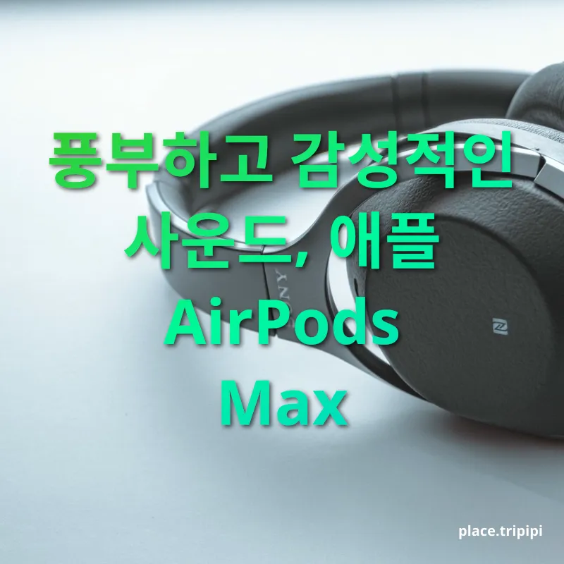 노이즈 캔슬링 헤드폰 - 풍부하고 감성적인 사운드, 애플 AirPods Max 노이즈 캔슬링 헤드폰 풍부하고 감성적인 사운드, 애플 AirPods Max 관련 이미지