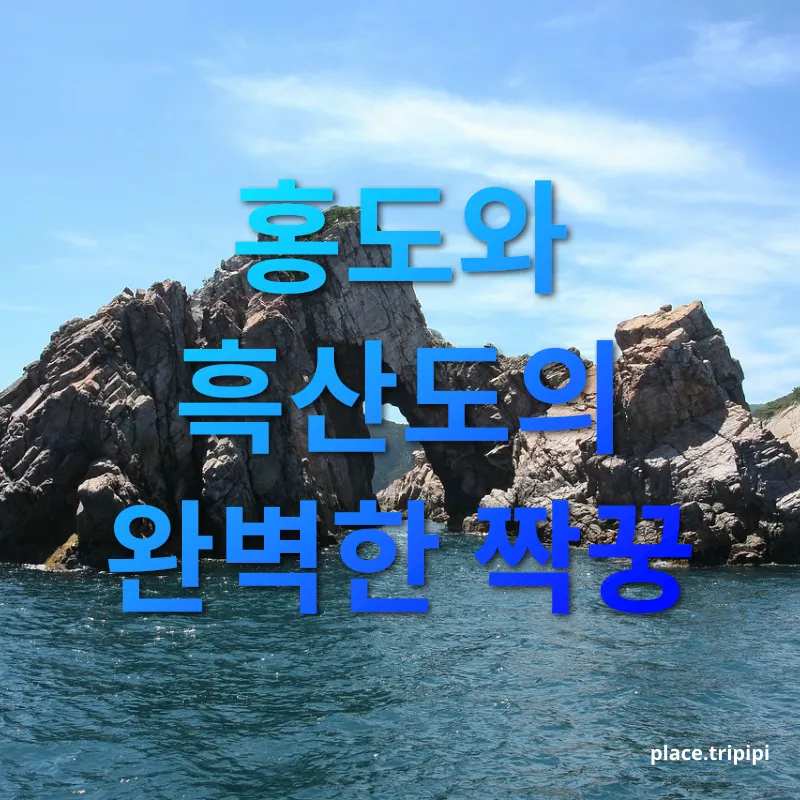 아름다운 홍도 - 홍도와 흑산도의 완벽한 짝꿍 아름다운 홍도 홍도와 흑산도의 완벽한 짝꿍 관련 이미지