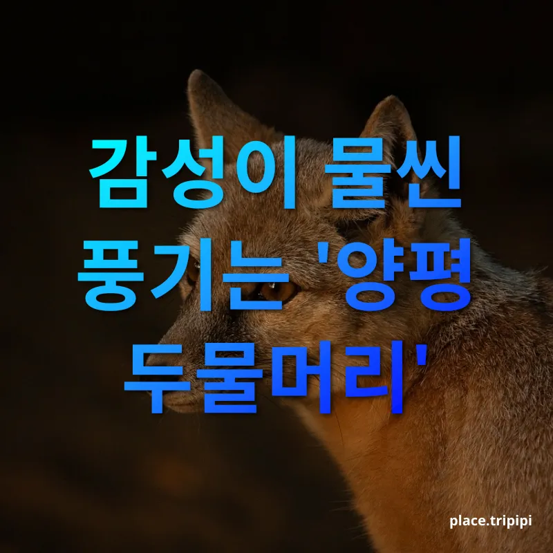 혼자만의 힐링 드라이브 - 감성이 물씬 풍기는 '양평 두물머리' 혼자만의 힐링 드라이브 감성이 물씬 풍기는 '양평 두물머리' 관련 이미지
