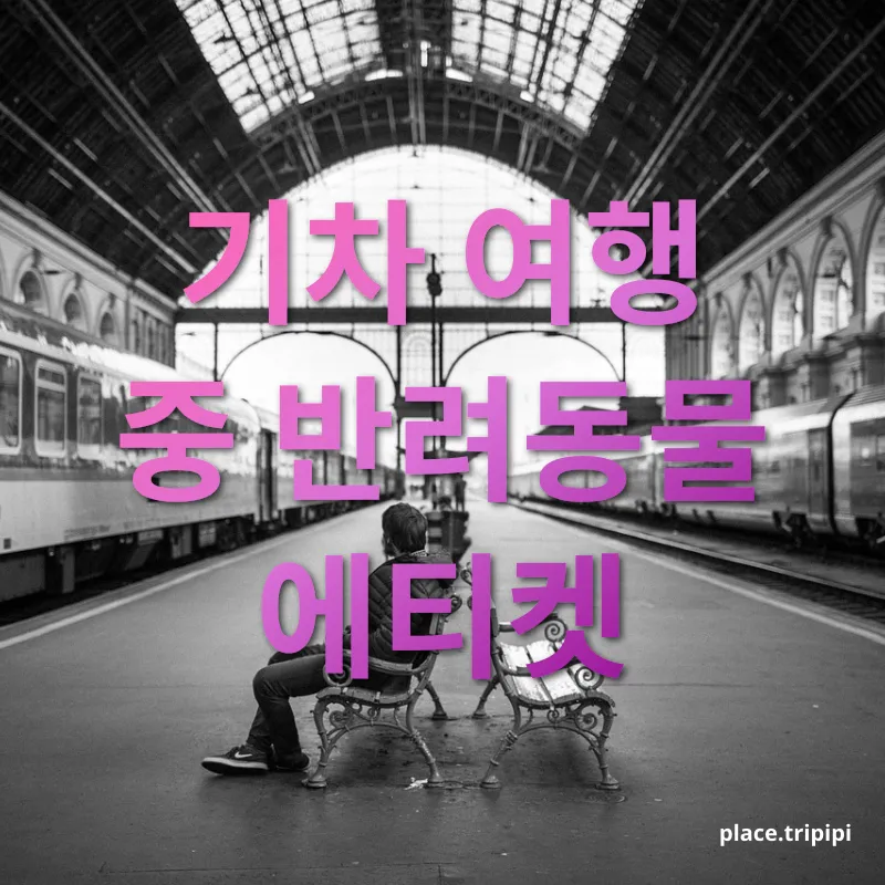 반려동물 기차여행 - 기차 여행 중 반려동물 에티켓 반려동물 기차여행 기차 여행 중 반려동물 에티켓 관련 이미지