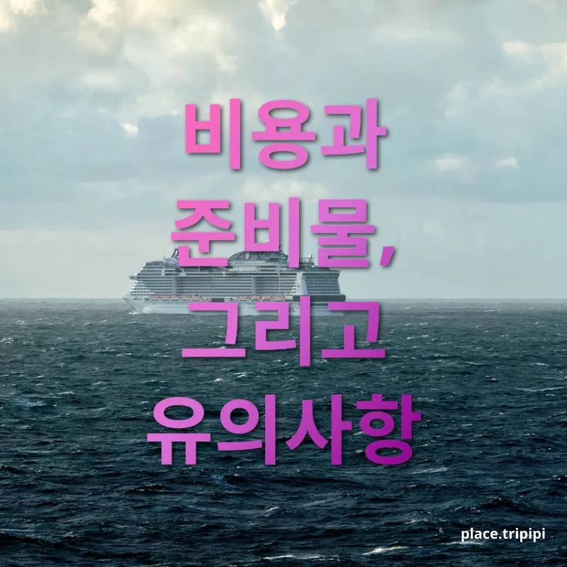 북유럽 크루즈 여행 - 비용과 준비물, 그리고 유의사항 북유럽 크루즈 여행 비용과 준비물, 그리고 유의사항 관련 이미지