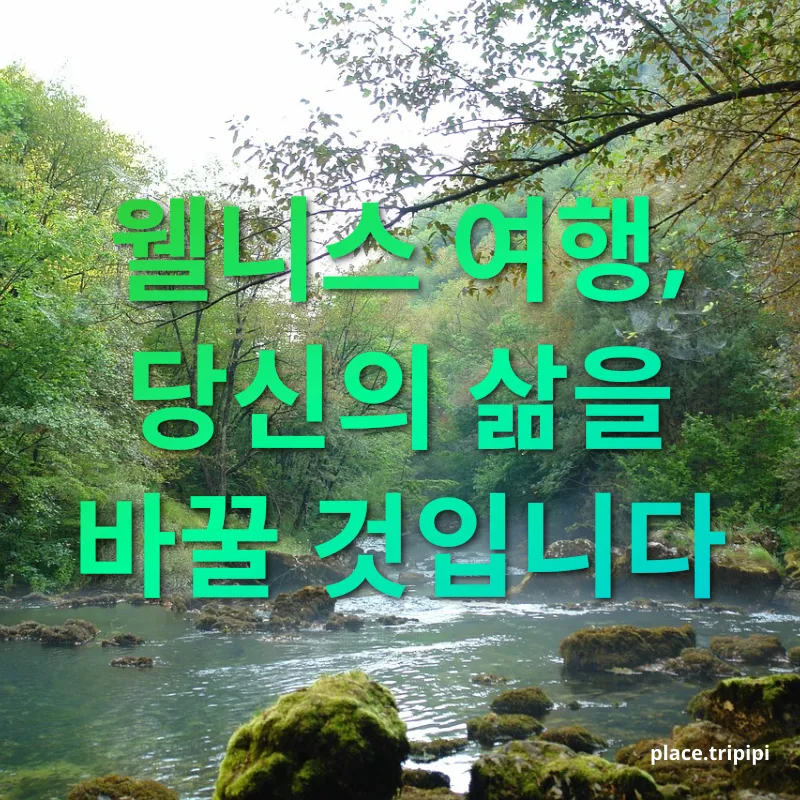 웰니스 여행 - 웰니스 여행, 당신의 삶을 바꿀 것입니다 웰니스 여행 웰니스 여행, 당신의 삶을 바꿀 것입니다 관련 이미지