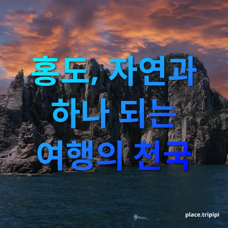 아름다운 홍도 - 홍도, 자연과 하나 되는 여행의 천국 아름다운 홍도 홍도, 자연과 하나 되는 여행의 천국 관련 이미지