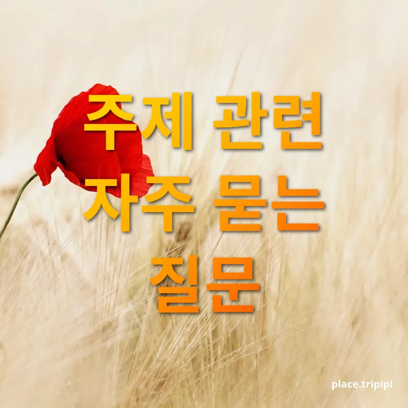 혼자만의 힐링 드라이브 - 주제 관련 자주 묻는 질문 혼자만의 힐링 드라이브 주제 관련 자주 묻는 질문 관련 이미지