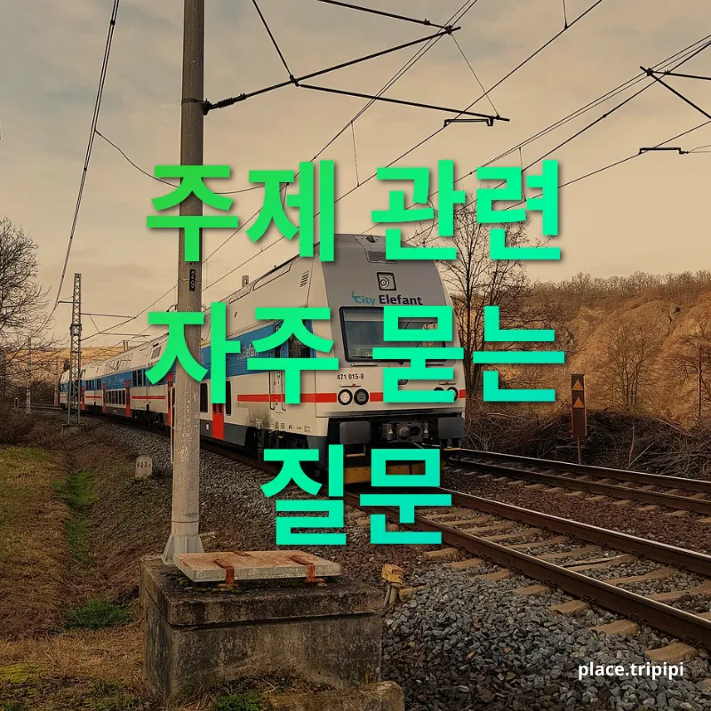 반려동물 기차여행 - 주제 관련 자주 묻는 질문 반려동물 기차여행 주제 관련 자주 묻는 질문 관련 이미지