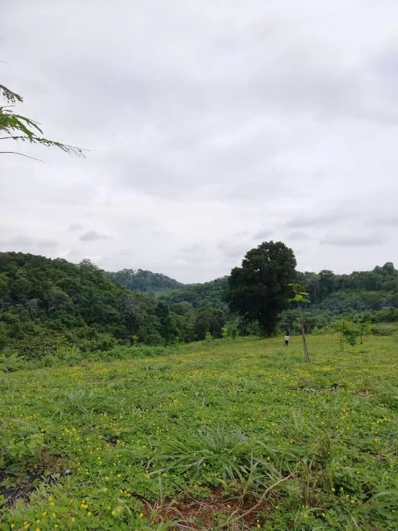 La Villa Hortensia-Mondulkiri 호텔 상세 정보 및 리뷰 호텔 이미지
